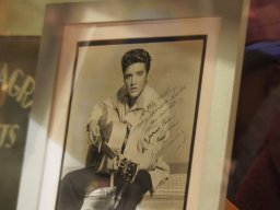 Elvis Ausstellung im 48er